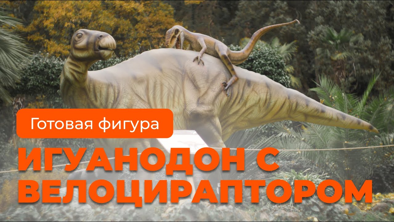 Превью видео Velociraptor