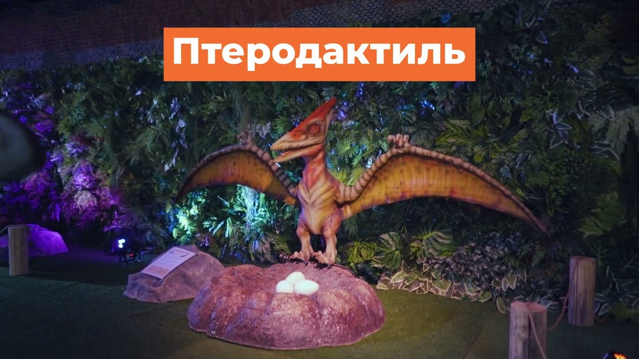 Превью видео Птеродактиль с гнездом 