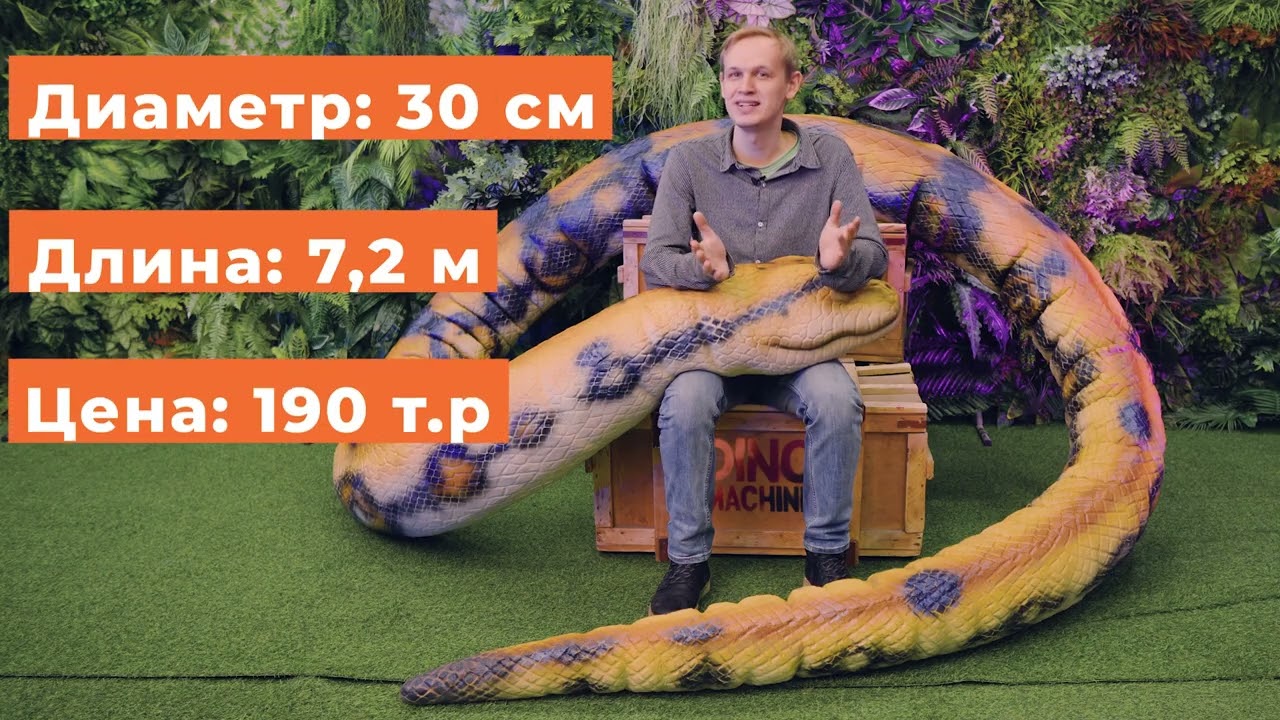 Превью видео Snake